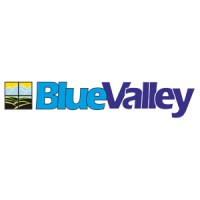 Blue Valley Properties Pvt. Ltd.-logo
