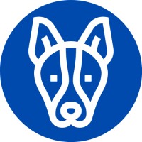 Bluehounds.in-logo