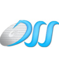 Data Storage Solutions-logo