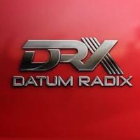 Datum Radix-logo