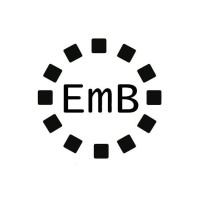 Embright Infotech-logo