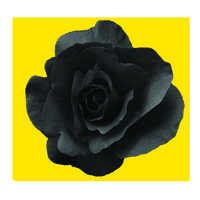 Goddess Advertising Pvt. Ltd.-logo