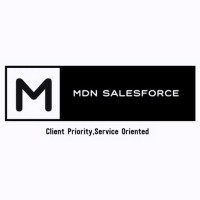 MDN Salesforce-logo