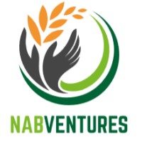 Nabventures-logo