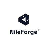 NileForge Technology-logo