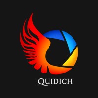 Quidich-logo