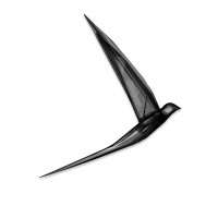 Sky Dreamers Club-logo