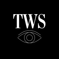 Thewallstreeteye-logo