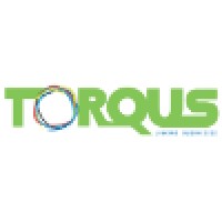 Torqus Systems-logo