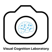 Visual Cognition Laboratory Private Limited-logo